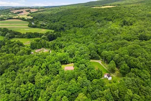 131 Squirrel Hill Rd, Elk Lick Township, PA 15552 - Photo 30