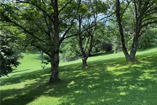 2946 Garretts Run Rd, Burrell Township, PA 16226 - Photo 40