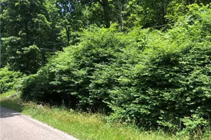 224-225 Old Mill Rd, Ohiopyle, PA 15470 - Photo 1