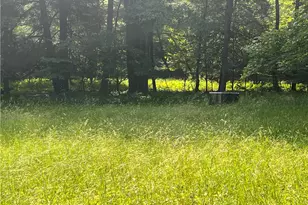 2612 Canoe Ridge Rd, Canoe Banks Twp, PA 15772 - Photo 28