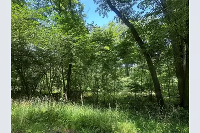 0 Cooperstown Rd, Oakland Township, PA 16317 - Photo 2