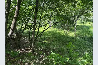 0 Cooperstown Rd, Oakland Township, PA 16317 - Photo 10