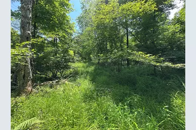 0 Cooperstown Rd, Oakland Township, PA 16317 - Photo 16