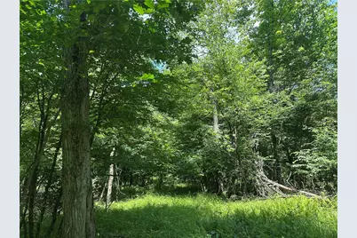 0 Cooperstown Rd, Oakland Township, PA 16317 - Photo 8