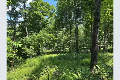 0 Cooperstown Rd, Oakland Township, PA 16317 - Photo 4
