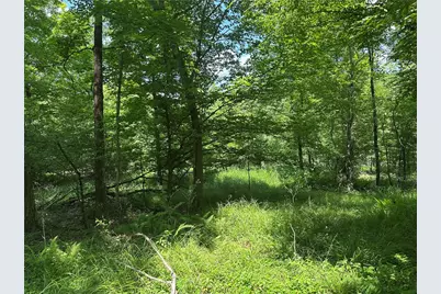 0 Cooperstown Rd, Oakland Township, PA 16317 - Photo 6