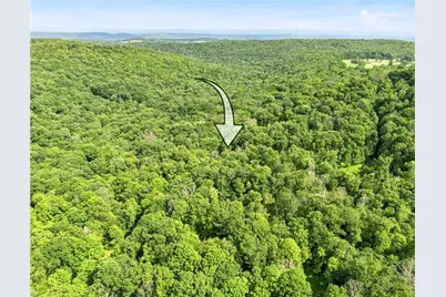 521 Earl Ansell Rd, Middlecreek Township, PA 15557 - Photo 38