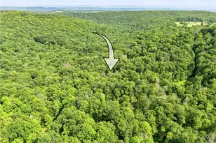 521 Earl Ansell Rd, Middlecreek Township, PA 15557 - Photo 38