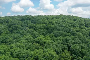 3140 Jersey Hollow Rd, Lower Turkeyfoot Township, PA 15424 - Photo 6
