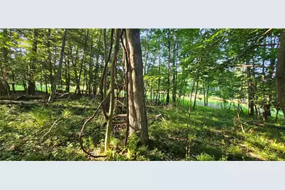 0 Rockland Station Rd, Richland Township, PA 16374 - Photo 8