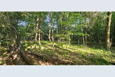 0 Rockland Station Rd, Richland Township, PA 16374 - Photo 6
