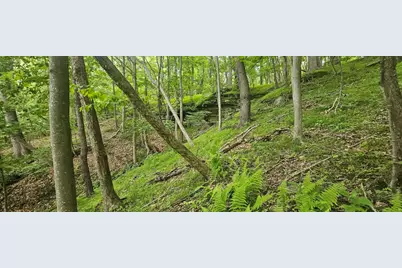 0000 Reservoir Road, Bell Township, PA 15681 - Photo 4
