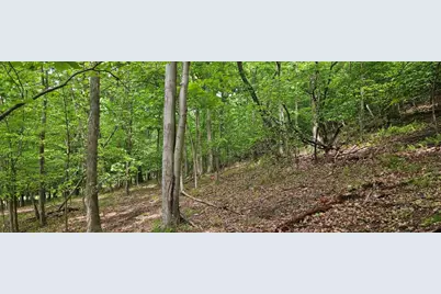 0000 Reservoir Road, Bell Township, PA 15681 - Photo 1