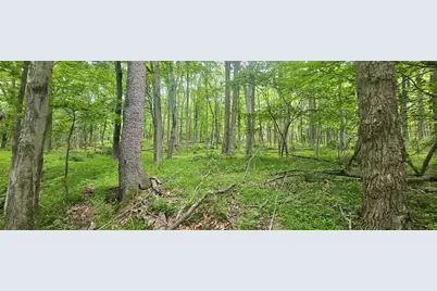 0000 Reservoir Road, Bell Township, PA 15681 - Photo 2