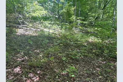 0 Tr117-Nr Woodside, Nicholson Township, PA 15478 - Photo 4
