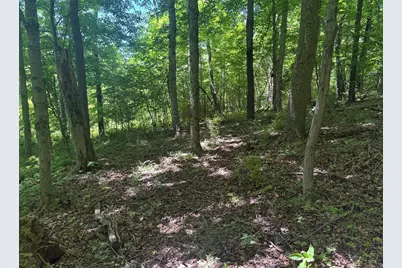 0 Tr117-Nr Woodside, Nicholson Township, PA 15478 - Photo 2