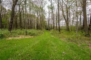 138 Fern Mountain Rd, Donegal, PA 15646 - Photo 48