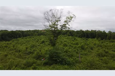 000 Pittsburgh Road, Irwin Township, PA 16038 - Photo 10