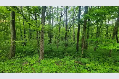 190-192 Hawkins Hollow Rd, Springfield Township, PA 15425 - Photo 4