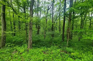 190-192 Hawkins Hollow Rd, Springfield Township, PA 15425 - Photo 4
