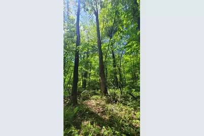 166 Camp Achievement Rd, Springfield Township, PA 15469 - Photo 1
