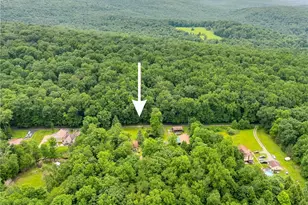 519 Sugar Run Rd, Saint Clair Township, PA 15944 - Photo 48