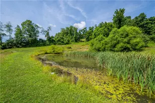 185 Dutch Glory Rd, West Bethlehem, PA 15311 - Photo 46