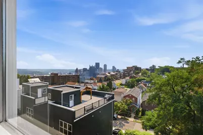 133 Meridan St, Pittsburgh, PA 15211 - Photo 4