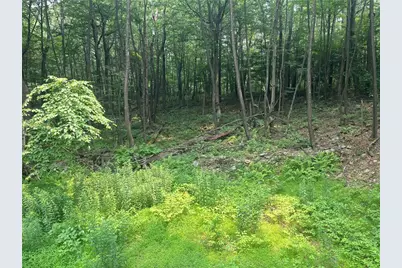 Lot 10 Off Camp Run Rd, Donegal, PA 15628 - Photo 4