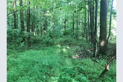 0 Palko Road, Bell Township, PA 15681 - Photo 16