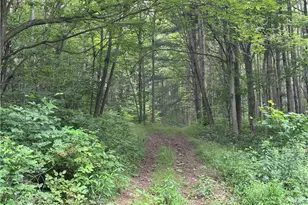 196 Grimm Rd, Saltlick Township, PA 15456 - Photo 18