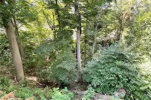 2310 N Forest Grove Rd, Robinson Twp, PA 15108 - Photo 48