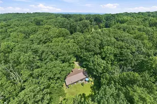 77 Spruce Peak Rd, Bullskin Township, PA 15610 - Photo 34