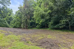 199 Charley Allison Rd, Shippingport, PA 15077 - Photo 1