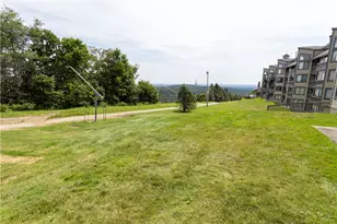C15Ab Stoneridge Dr, Seven Springs, PA 15622 - Photo 26