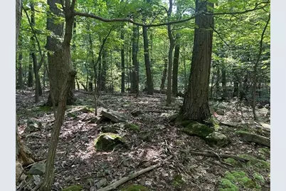 Lot 934 Ski Slope Rd, Bullskin Township, PA 15610 - Photo 4