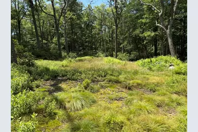 Lot 87 Laurel, Stoneycreek Township, PA 15926 - Photo 6