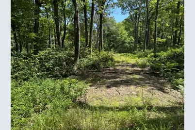 Lot 87 Laurel, Stoneycreek Township, PA 15926 - Photo 4