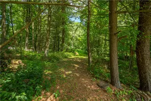 150 Wildflower Ln, Marshall, PA 16046 - Photo 42