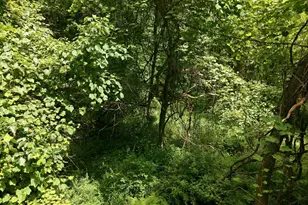 Lot #6 Bernadette Ln, Venango Township, PA 16020 - Photo 16