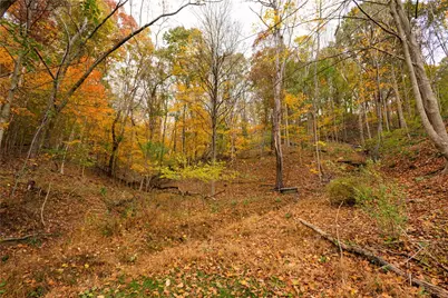 60 Candy Hollow Way, Indiana Township, PA 15024 - Photo 36