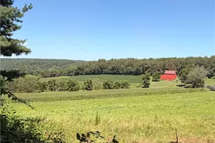 555 Bradys Ridge Rd, Brighton Township, PA 15009 - Photo 16