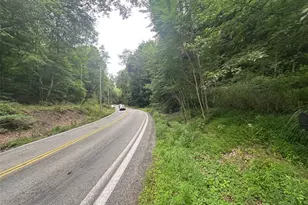 2031 Riddle Run Rd, East Deer, PA 15084 - Photo 4