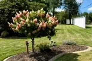 4311 Frederick Dr, Allegheny Township, PA 15068 - Photo 26
