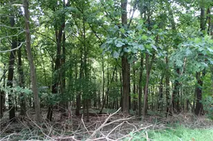 00 & 02 Moscow Rd, Amwell, PA 15311 - Photo 1