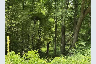 0 Mingo, Marshall, PA 15090 - Photo 4