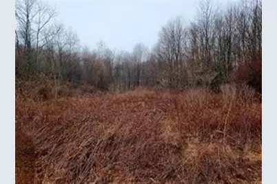 Lot 1 Rt.19/Perry Hwy, Muddy Creek Township, PA 16051 - Photo 6