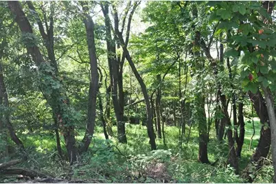 614 Orchard Hill Dr, Pittsburgh, PA 15238 - Photo 2