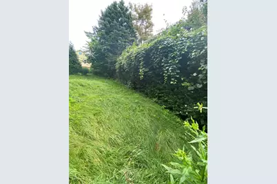 2414 School St, Pittsburgh, PA 15235 - Photo 4