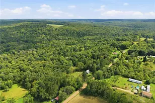 252 Rice Rd, Plum Twp, PA 16354 - Photo 40